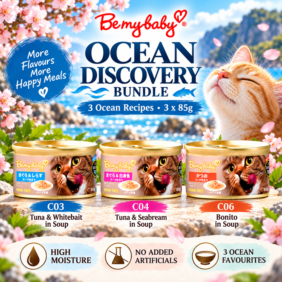 Ocean Discovery trial bundle poster showing its three recipes