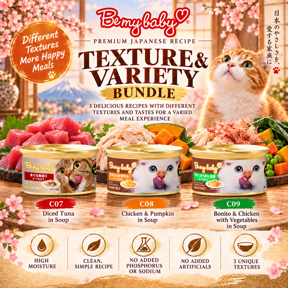 Texture & Variety trial bundle poster showing its three recipes